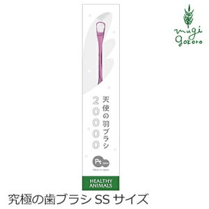 uV wV[Aj}Y ɂ̎uV SSTCY ^ ^p Vg̉HuV  L wzʓT Ki VR i` R