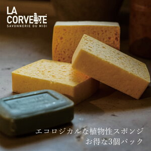 HpX|W ERxbg xW^uX|W 3 HpX|W wzʓT Ki VR i` mP~J Đ؍ Z[X vX`bNsgp z