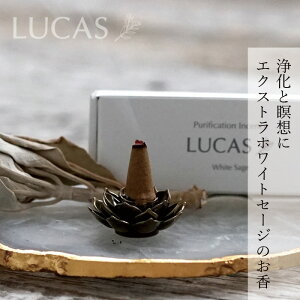  JX LUCAS 򉻍 zCgZ[WiR[^Cvj20 zʍwT Ki GNXgEzCgZ[W JtHjAY USDA JtHjAFI[KjbN_  