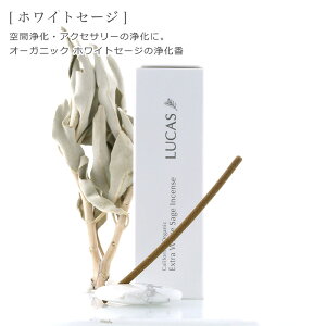  JX LUCAS 򉻍iXeBbN^Cvj 30{ zʍwT Ki ԏ K ґz JtHjAY I[KjbN GNXgEzCgZ[W _sgp USDA JtH