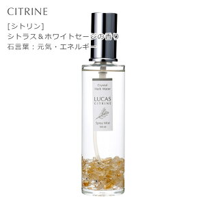 򉻃Xv[ JX LUCAS 100ml zʍwT Ki ԏ K ґz }ChtlX bNX I[KjbNzCgZ[W JtHjAY ANZT[̏ _sgp 