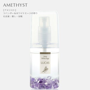 򉻃Xv[ JX LUCAS 򉻃Xv[ |Pbg 20ml zʍwT Ki ԏ K ґz }ChtlX bNX I[KjbNzCgZ[W JtHjAY ANZT