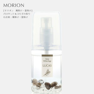 򉻃Xv[ JX LUCAS 򉻃Xv[ |Pbg 20ml zʍwT Ki ԏ K ґz }ChtlX bNX I[KjbNzCgZ[W JtHjAY ANZT