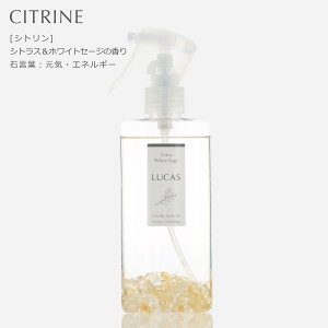 򉻃Xv[ JX LUCAS 򉻃Xv[K^Cv 130ml zʍwT Ki ԏ K ґz }ChtlX bNX I[KjbNzCgZ[W JtHjAY ANZ