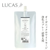浄化スプレー ルカス LUCAS 浄化スプレー 詰替用 250ml 金額別購入特典あり 正規品 空間浄化 ヨガ 瞑想 …