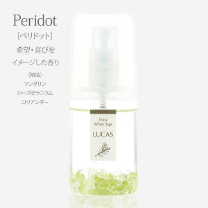 A}v[ JX LUCAS I[Xv[ 20ml zʍwT Ki 炵  GlM[ VRR VR VR GbZVIC  W A} K ґz }