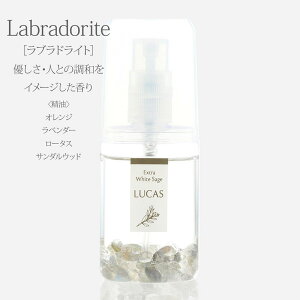 A}v[ JX LUCAS I[Xv[ 20ml zʍwT Ki 炵  GlM[ VRR VR VR GbZVIC  W A} K ґz }