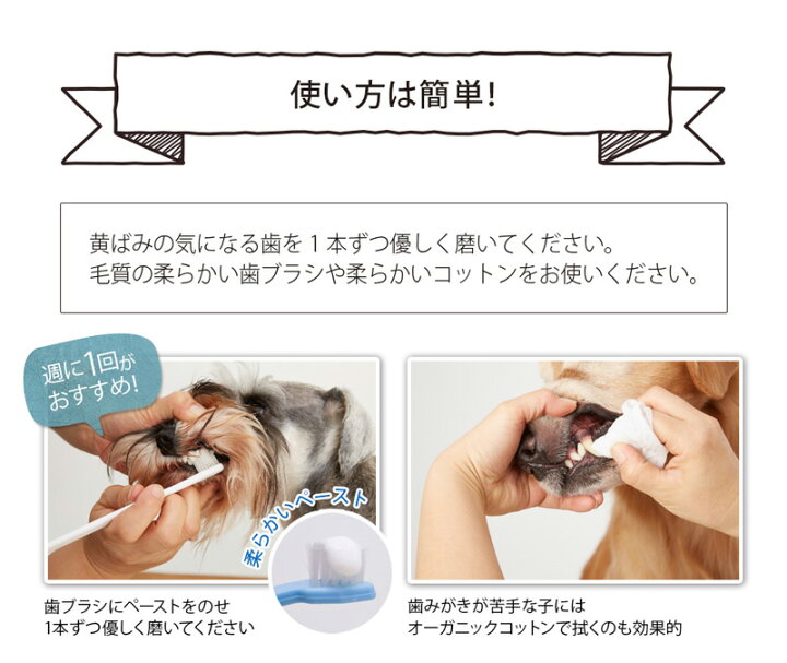 楽天市場 犬用 歯磨き粉 オーガニック Made Of Organics For Dog オーガニック トゥースペースト 75g ブルーベリー ミント 75g 購入金額別特典あり 無添加 正規品 メイドオブオーガニクス フォードッグ 天然 ナチュラル 犬用 オーガニック 健康生活 むぎごころ