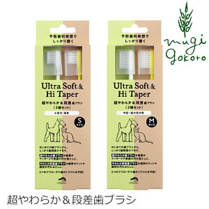 ���p ���u���V �I�[�K�j�b�N made of Organics for Dog �����炩���i�����u���V �Z�b�g �w�����z�ʓ��T���� ���Y�� ���K�i ���C�h�I�u�I�[�K�j�N�X �t�H�[�h�b�O �i�`������