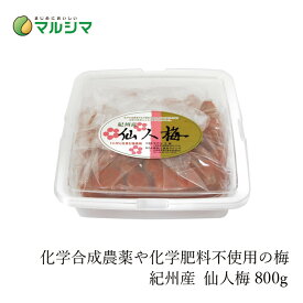 梅干し マルシマ 宇戸平さんの紀州梅干し 仙人梅 800g 購入金額別特典あり 正規品 国内産 無添加 オーガニック 無農薬 有機 ナチュラル 天然 純正食品マルシマ