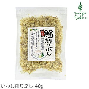 }V} 킵Ԃ 40g wzʓT Ki Y Hi}V} ۑ Y