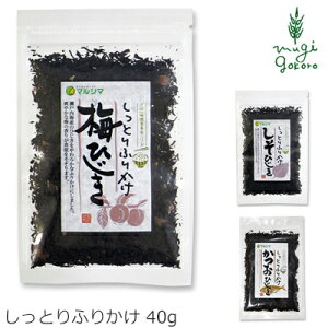 ӂ肩 }V} Ƃӂ肩 40g wzʓT Ki Y Hi}V} ӂ肩 ~Ђ Ђ JcIЂ ؂Ђ IЂ ߂Ђ ۑ 
