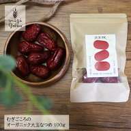 なつめ 無農薬 保存料 無添加 むぎごころのオーガニック大玉なつめ 100g 購入金額別特典あり オーガニッ…