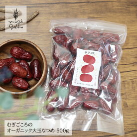 なつめ 無農薬 保存料 無添加 むぎごころのオーガニック大玉なつめ 500g 購入金額別特典あり オーガニック 自然 ドライフルーツ 薬膳 送料無料