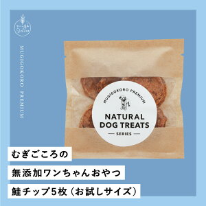 `bv p ނ̖Y񂨂 `bv 5iTCYj Y wzʓT I[KjbN Ki VR i` mP~J R hbOt[