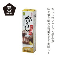 からし ムソー 旨味本来・からしチューブ 40g 購入金額別特典あり 正規品 国内産 着色料 保存料 香料 す…