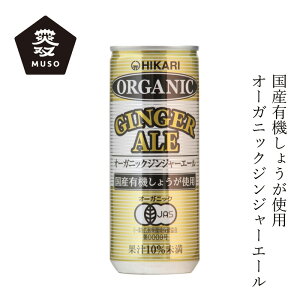 ジュース ムソー ヒカリ オーガニックジンジャーエール 250ml 購入金額別特典あり 正規品 有機栽培 保存料 無添加 香料不使用 酸味料不使用 保存料不使用 有機JAS認定 muso