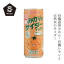 ジュース ムソー ヒカリ 有機みかんサイダー＋レモン 250ml 購入金額別特典あり 正規品 有機栽培 保存料 無添加 香料不使用 保存料不使用 有機JAS認定 muso 温州みかん