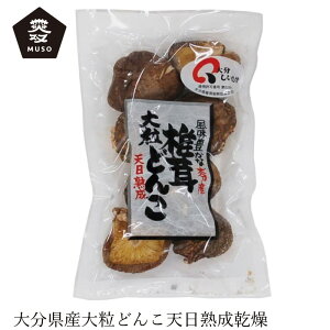 ő \[ 啪Yő嗱ǂ 45g wzʓT Ki Y ۑ Y `qg݊sgp muso