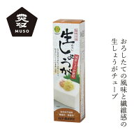 しょうが ムソー 旨味本来・生おろししょうがチューブ 40g 購入金額別特典あり 正規品 国内産 着色料 保…