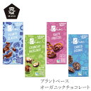 チョコレート ムソー ichoc オーガニックチョコ 80g 購入金額別特典あり 正規品 ドイツ 動物性原料不使用 プラントベース ヴィーガン 無双 むそう MUSO アイチョコ Ecofinia