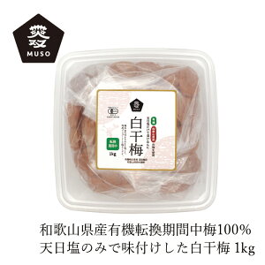 ~ \[ L@~i]Ԓjp 1kg wzʓT Ki ۑ Y a̎RY