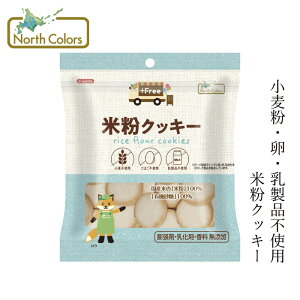 米粉クッキー ノースカラーズ プラスフリー 米粉クッキー 70g オーガニック 購入金額別特典あり 正規品 国内産 保存料 無添加 NorthColors グルテンフリー 小麦粉・卵・乳製品不使用 特定原材料