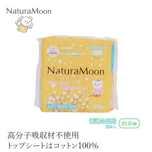 ivL I[KjbNRbg i`[ pivL [p] gbvV[gRbg100 24 21cm HȂ wzʓT Ki I[KjbN Y Ki i` 