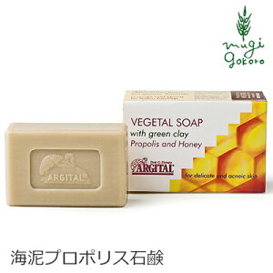  I[KjbN AW^ FW^\[v v|XsAnj[ 100g wzʓT Y Ki V ΂ Ό XLPA Ό ΂ mP