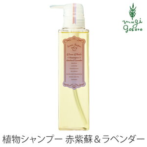 赤 紫 シャンプーの人気商品 通販 価格比較 価格 Com