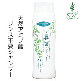 シャンプー ノンシリコン グリーンノート 自然葉シャンプー 無香料 300ml ヘアケア 低刺激 リンス不要 リンスイン 天然 ナチュラル ノンケミカル 自然