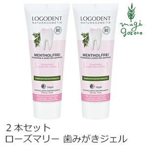 無添加 歯磨き粉 歯磨き粉の人気商品 通販 価格比較 価格 Com