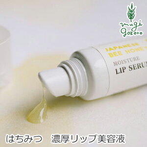 bvN[ Y pZC nj[CX`[bvZ 8g wzʓT Ki I[KjbN i` VR mP~J R et  bvGbZX bv