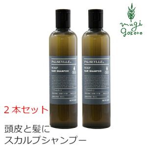 Vv[ mVR pZC XJvVv[ 300ml×2{Zbg wzʓT Ki I[KjbN Y  i` VR  A BIO mP~J R 2{Z