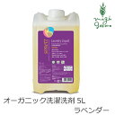 洗濯 洗剤 オーガニック ソネット sonett ナチュラルウォッシュリキッド 5L 購入金額別特典あり 無添加 送料無料 正規品 洗濯用 洗剤 液体 天然 ナチュラル ノンケミカル 自然