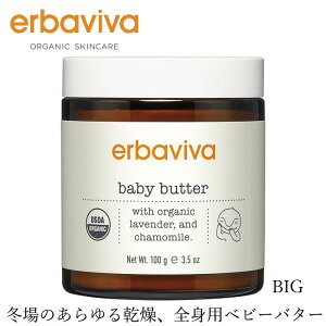 xr[ o[ I[KjbN Gor[o xr[o^[ 100g wzʓT Y Ki Ԃ xr[ Sgێ VR i` mP~J N[ Sgێ