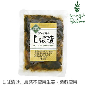 しば漬 国産 無添加 無農薬 オーサワジャパン オーサワのしば漬 120g 購入金額別特典あり 有機 正規品 国内産 しば漬け 漬物 砂糖不使用 化学調味料不使用 着色料不使用 漂白剤不使用