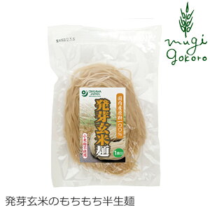 Ė ۑ Y I[TWp 茺Ė 120g  Oet[ wzʓT Ki Y100
