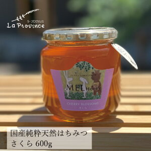 ݂͂ ۑ Y Ev@X MEL HONEY  600g wzʓT Ki _͔| nI YI