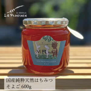 ݂͂ ۑ Y Ev@X MEL HONEY 悲 600g wzʓT Ki _͔| nI YI