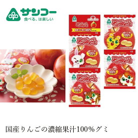 お菓子 健康志向菓子のサンコー アップルグミ 20g×4連
