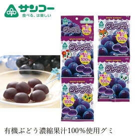 お菓子 健康志向菓子のサンコー グレープグミ 20g×4連 てんさい糖使用 ブドウ糖不使用 購入金額別特典あり 正規品 保存料 無添加 有機ブドウ果汁