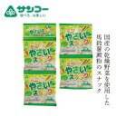 スナック 健康志向菓子のサンコー ミニやさいスナック 10g×4連 購入金額別特典あり 正規品 8大アレルゲン原材料不使用 小麦粉不使用 馬鈴薯澱粉 乾燥野菜入り 米油使用 動物性原料不使用