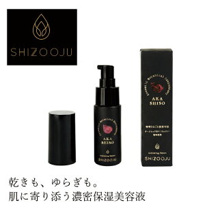 et Y VY[W ANeBxCeBOZ 30g SHIZOOJU wzʓT I[KjbN Ki V\ VR i` mP~J R ωn