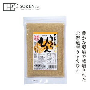 G n kCY 邿Ђ 170g wzʓT Ki Y ۑ Y B