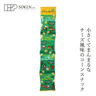 お菓子 創健社 メイシーちゃんのおきにいり シリルと山のおんがくたい 10g×4 購入金額別特典あり 正規品…