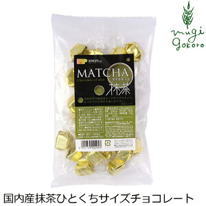 チョコレート 国産 保存料 無添加 創健社 ダイスチョコ 抹茶 120g 購入金額別特典あり 正規品 保存料 無添加