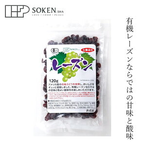 [Y n L@͔|[Y 120g wzʓT Ki Y ۑ Y hCt[c