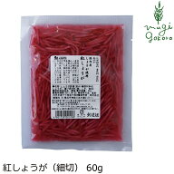 紅しょうが 創健社 紅しょうが（細切） 60g 購入金額別特典あり 正規品 保存料 無添加