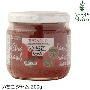 W n W 200g wzʓT Ki ۑ Y